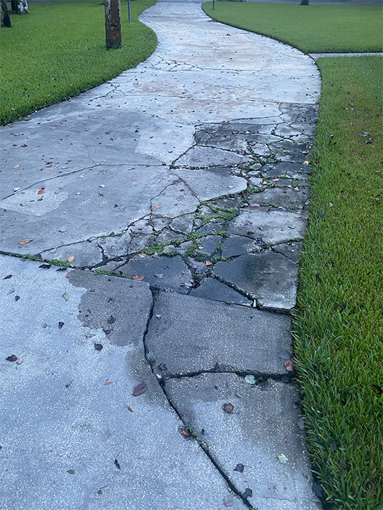 Driveway Replacement