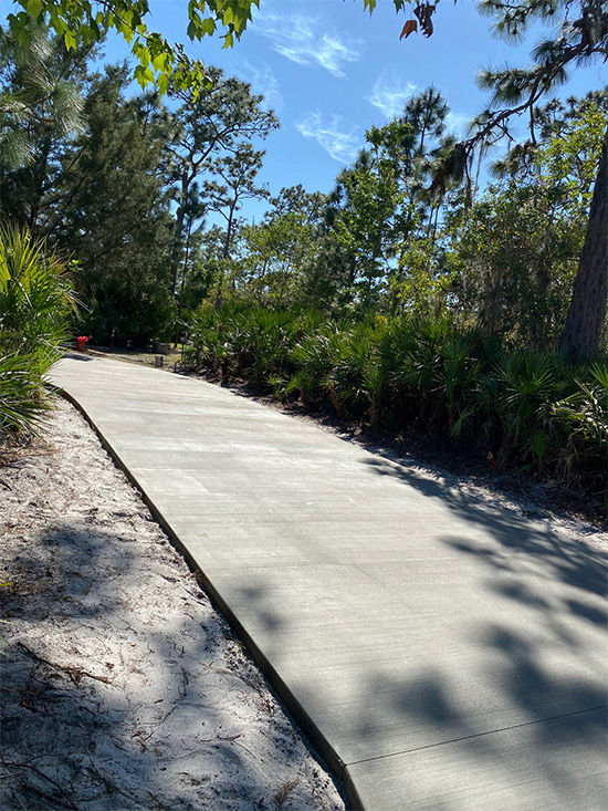 New Concrete Driveway Chuluota